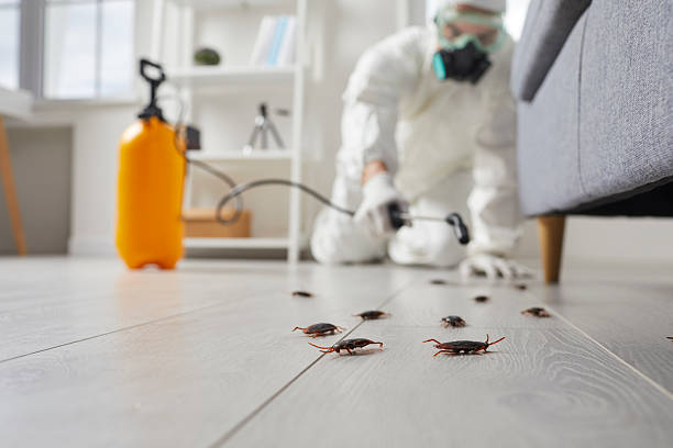 Trusted Cockroach Control service in St. Regis Park, KY - Nex Pest Control