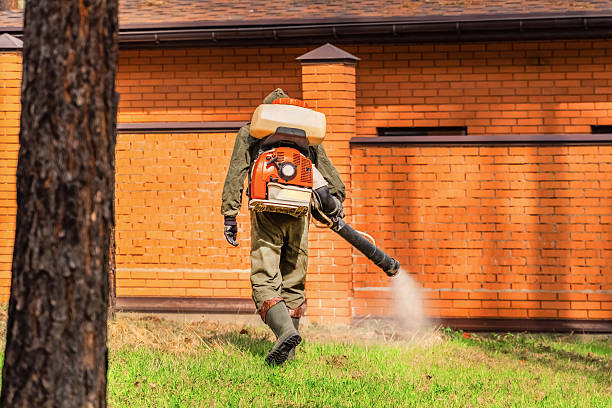 Trusted Emergency Pest Control service in St. Regis Park, KY - Nex Pest Control